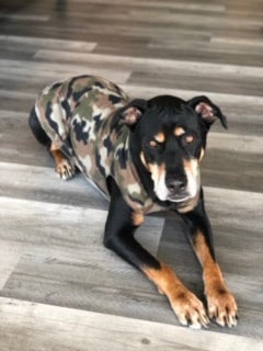 Fleece - Camo, photo 1 of 2