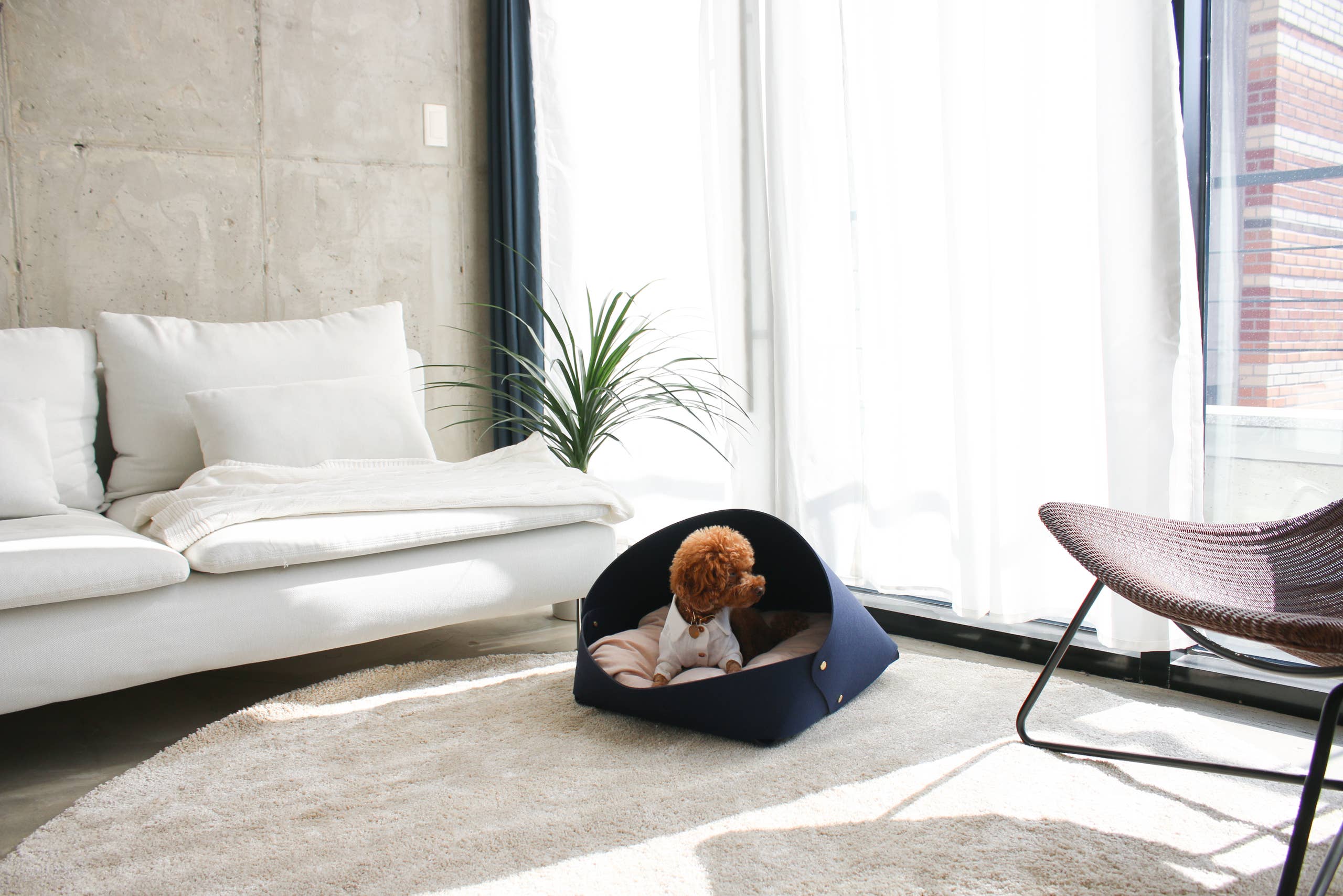 Marron Bed Navy